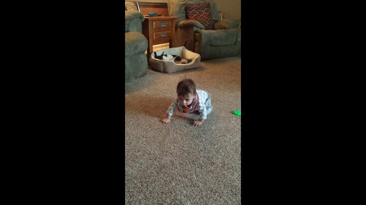 I am Crawling