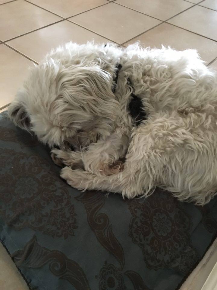 David Sleeping