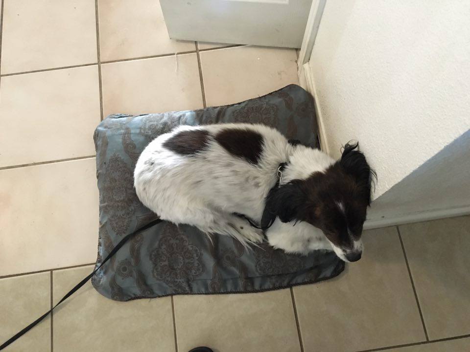Rocky Sleeping